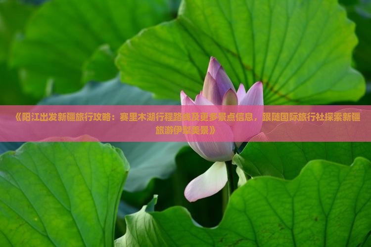 《阳江出发新疆旅行攻略：赛里木湖行程路线及更多景点信息，跟随国际旅行社探索新疆旅游伊犁美景》