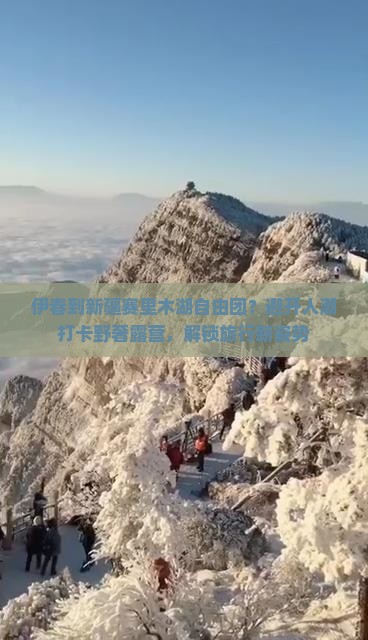 伊春到新疆赛里木湖自由团？避开人潮打卡野奢露营，解锁旅行新姿势