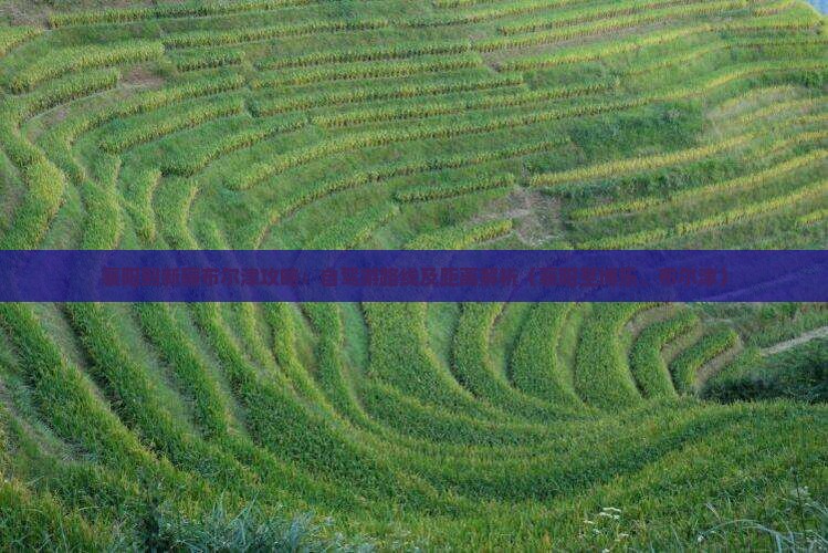 襄阳到新疆布尔津攻略：自驾游路线及距离解析（襄阳至博乐、布尔津）