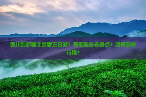 银川到新疆吐鲁番五日游？有哪些必去景点？如何安排行程？