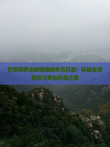 巴音郭楞去新疆喀纳斯五日游：探秘自然奇观与民俗风情之旅