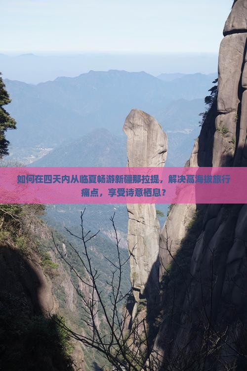 如何在四天内从临夏畅游新疆那拉提，解决高海拔旅行痛点，享受诗意栖息？