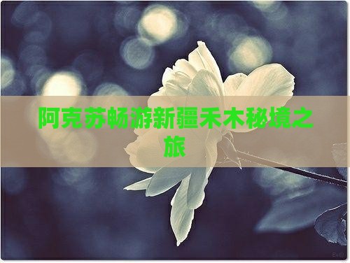 阿克苏畅游新疆禾木秘境之旅