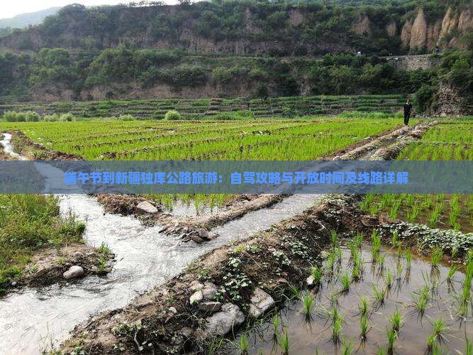 端午节到新疆独库公路旅游：自驾攻略与开放时间及线路详解