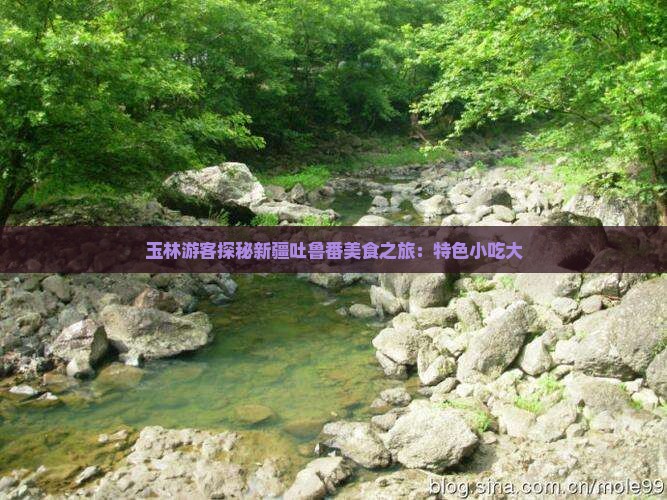 玉林游客探秘新疆吐鲁番美食之旅：特色小吃大