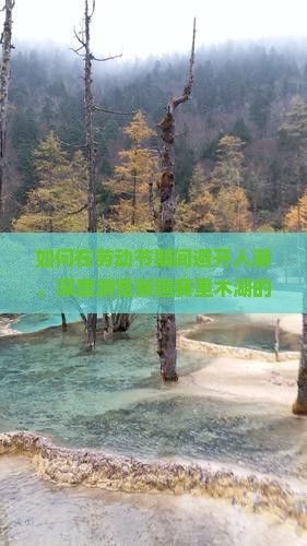 如何在劳动节期间避开人潮，深度游览新疆赛里木湖的精华景点？