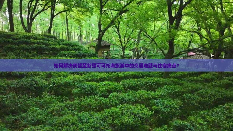 如何解决鹤壁至新疆可可托海旅游中的交通难题与住宿痛点？