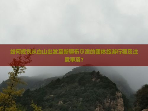 如何规划从白山出发至新疆布尔津的团体旅游行程及注意事项？