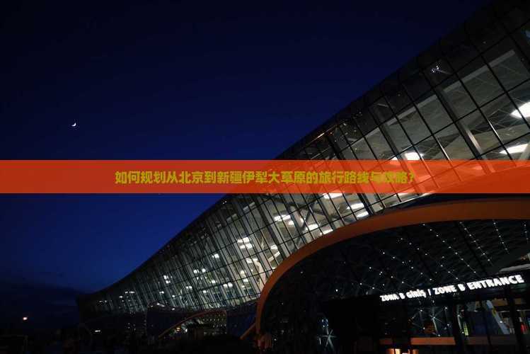 如何规划从北京到新疆伊犁大草原的旅行路线与攻略？