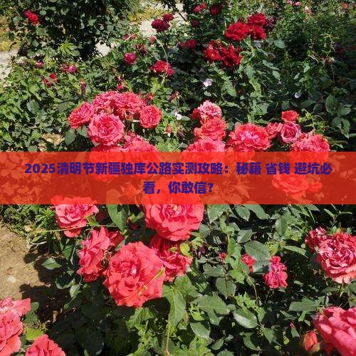 清明节去新疆独库公路攻略