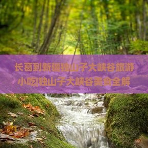 长葛到新疆独山子大峡谷旅游小吃