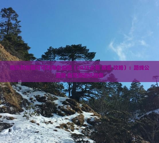 临沂到新疆可可托海自由团