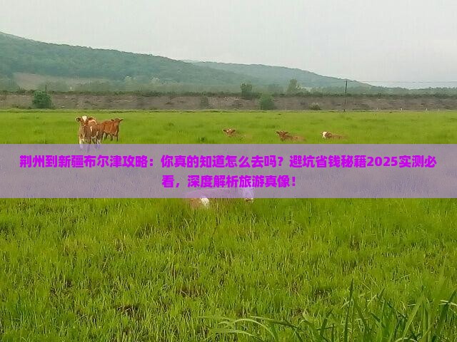 荆州到新疆布尔津攻略