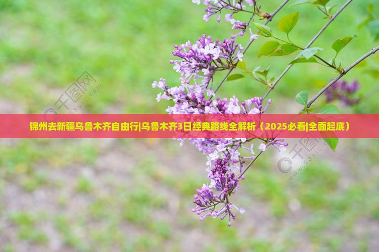 锦州去新疆乌鲁木齐自由行