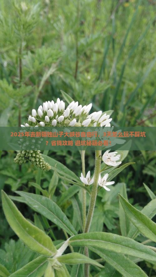 三月去新疆独山子大峡谷自由行