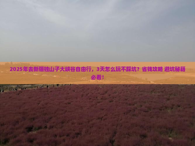 三月去新疆独山子大峡谷自由行