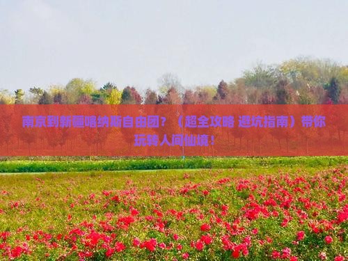 南京到新疆喀纳斯自由团