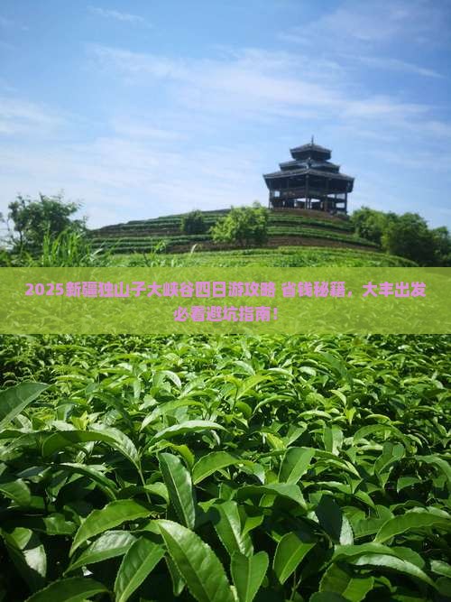大丰到新疆独山子大峡谷四日游
