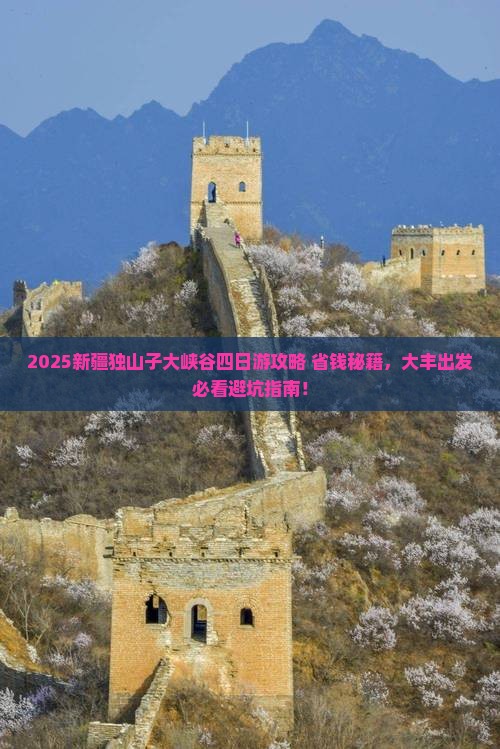 大丰到新疆独山子大峡谷四日游