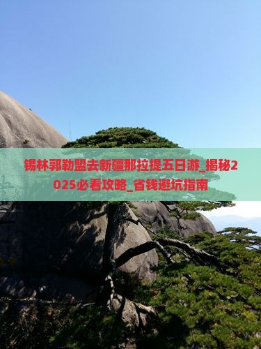 锡林郭勒盟去新疆那拉提五日游