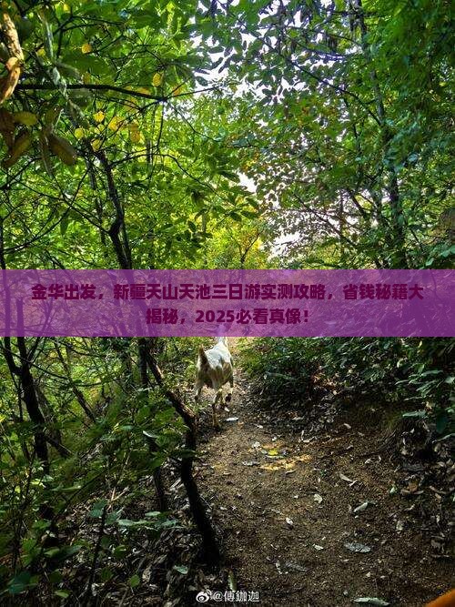 金华去新疆天山天池三日游