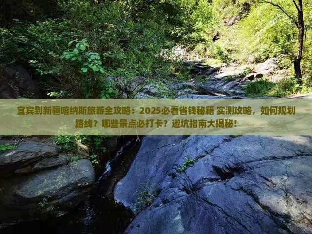 宜宾到新疆喀纳斯旅游