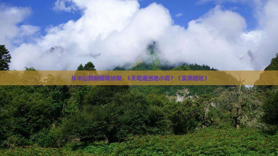 中山到新疆喀纳斯旅游小吃