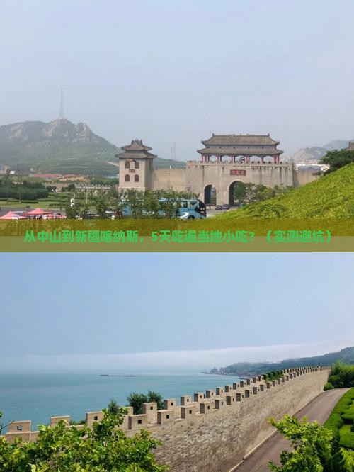 中山到新疆喀纳斯旅游小吃