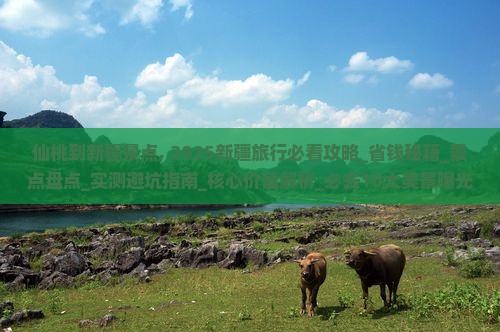 仙桃到新疆景点