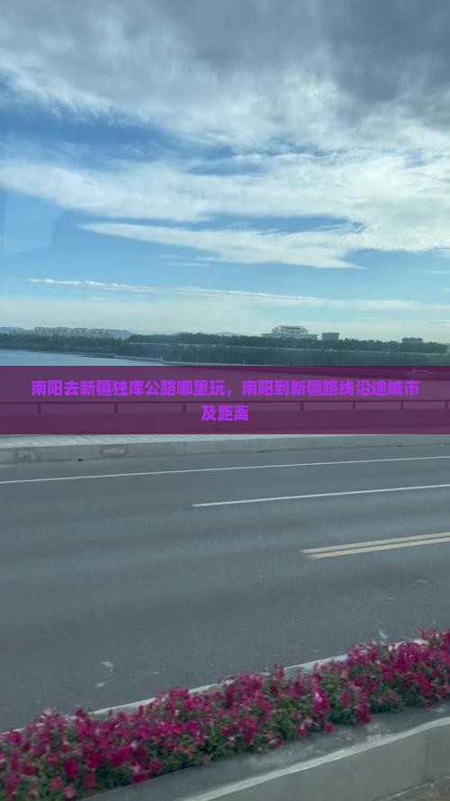 南阳去新疆独库公路哪里玩