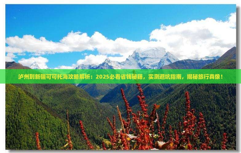泸州到新疆可可托海攻略