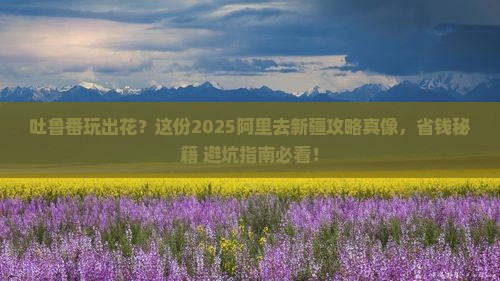 阿里去新疆吐鲁番攻略