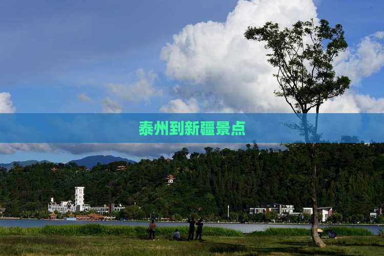 泰州到新疆景点