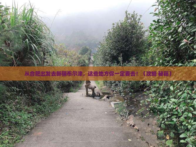 合肥去新疆布尔津哪里玩