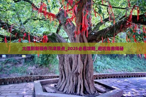 大理到新疆布尔津景点