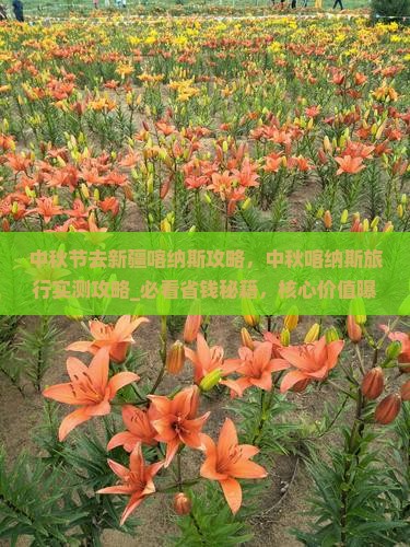 中秋节去新疆喀纳斯攻略