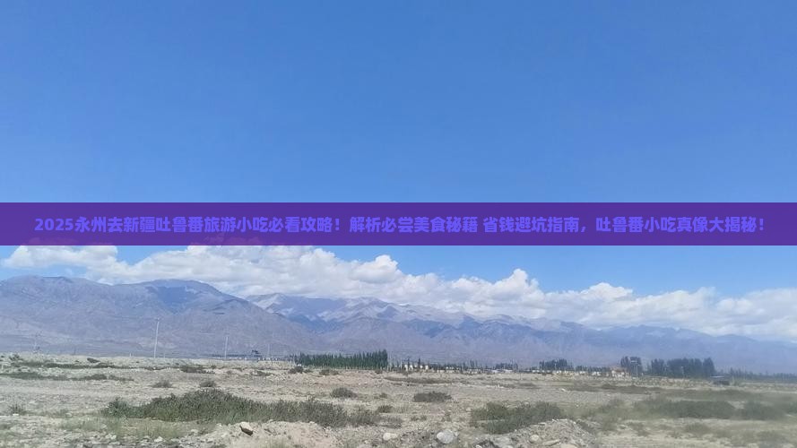 永州去新疆吐鲁番旅游小吃