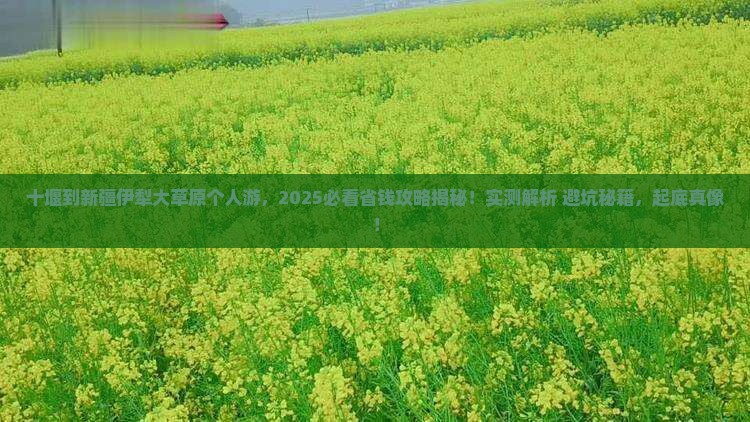 十堰到新疆伊犁大草原个人游