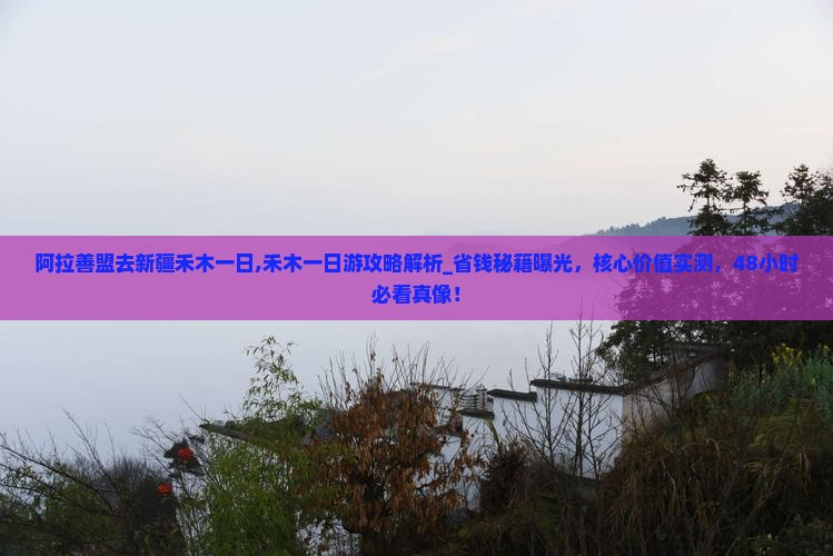 阿拉善盟去新疆禾木一日