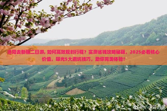 洛阳去新疆二日游