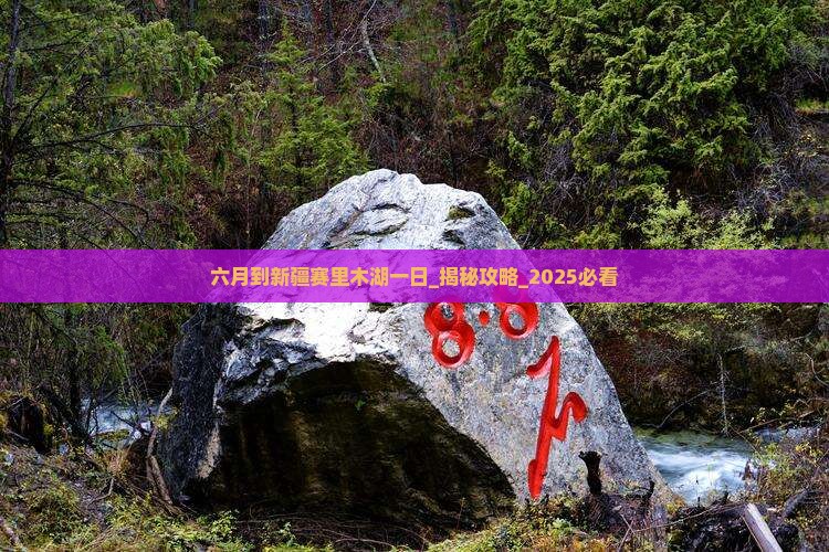 六月到新疆赛里木湖一日