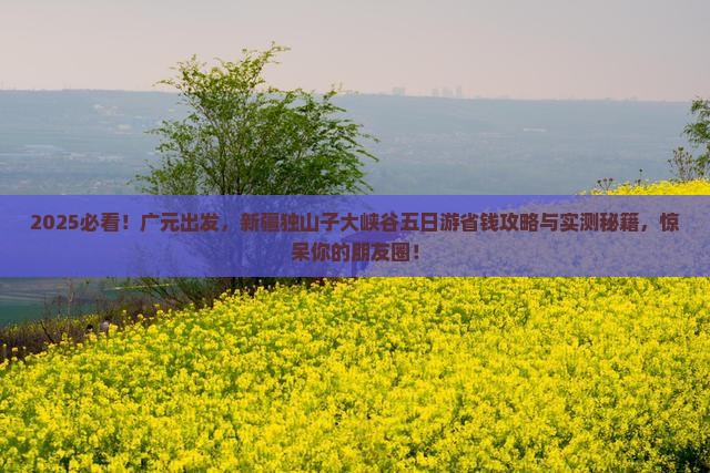 广元去新疆独山子大峡谷五日游
