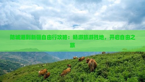 防城港到新疆自由行