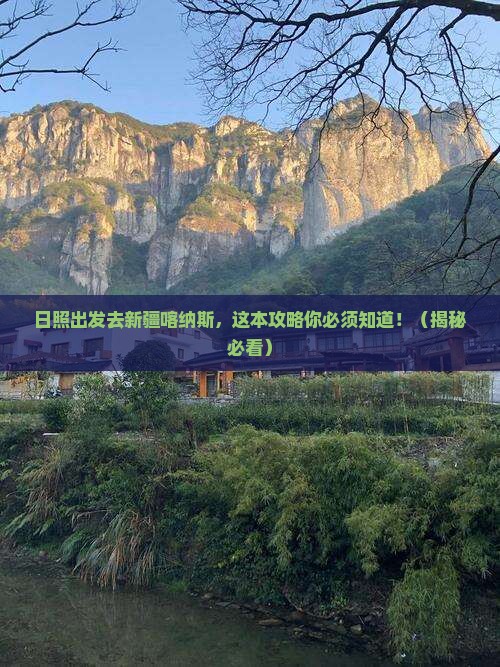 日照去新疆喀纳斯景点