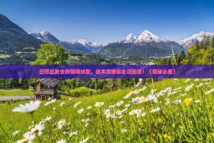 日照去新疆喀纳斯景点