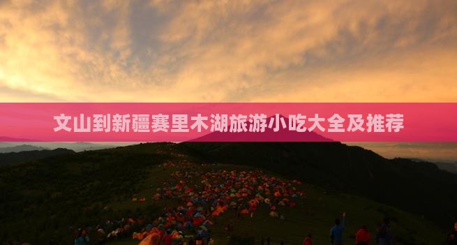 文山到新疆赛里木湖旅游小吃