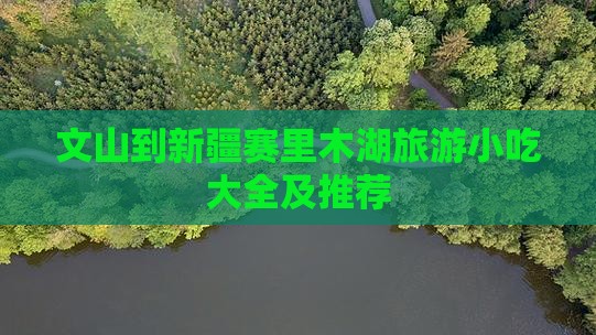 文山到新疆赛里木湖旅游小吃
