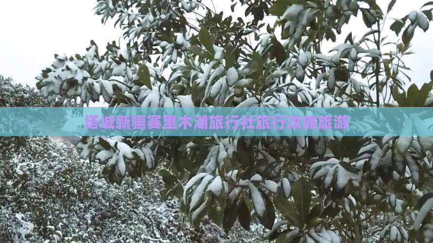 塔城去新疆赛里木湖旅行社