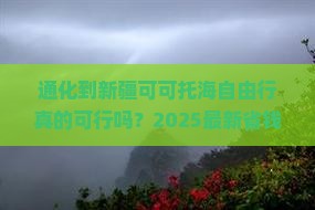 通化到新疆可可托海自由行