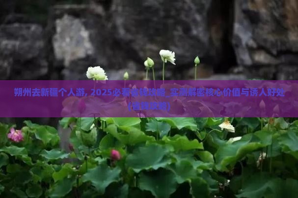 朔州去新疆个人游